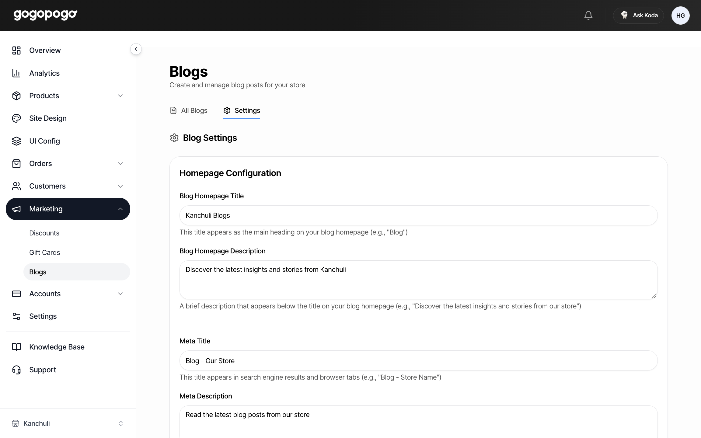 The Blog Settings tab with homepage title, description and meta boxes — as seen on a desktop or laptop screen